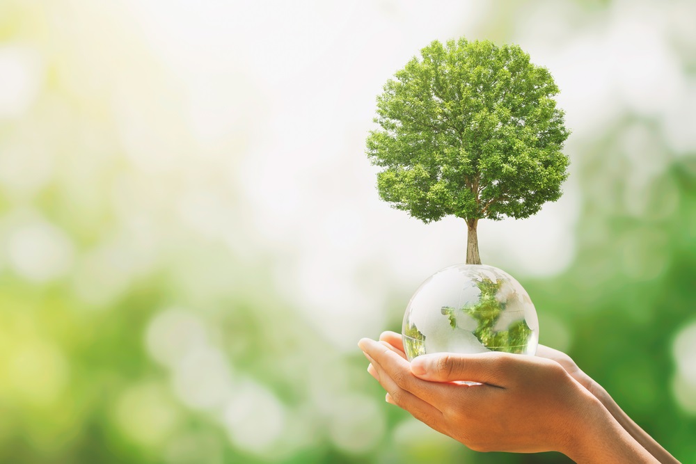 hand holding glass globe ball with tree growing