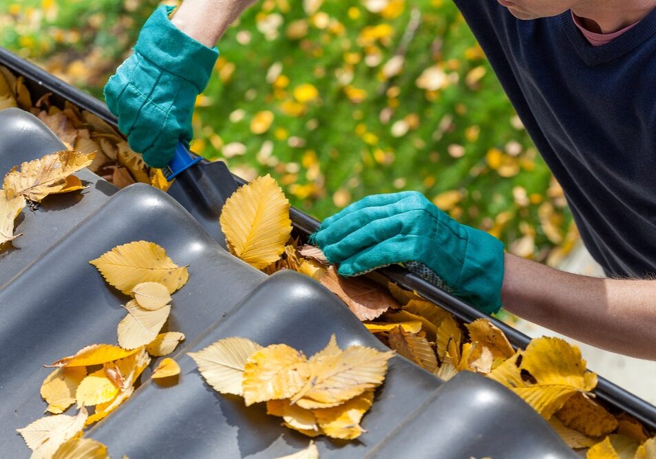 Man cleaning the gutter from autumn leaves Man cleaning the gutter from autumn leaves