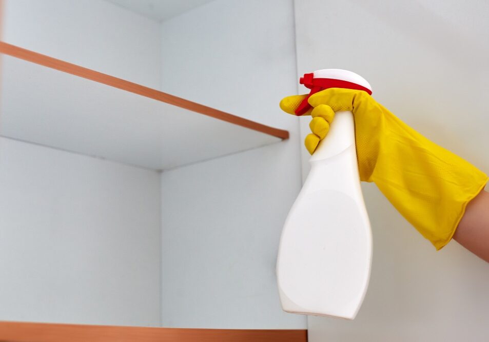 Pest spray Pest spray