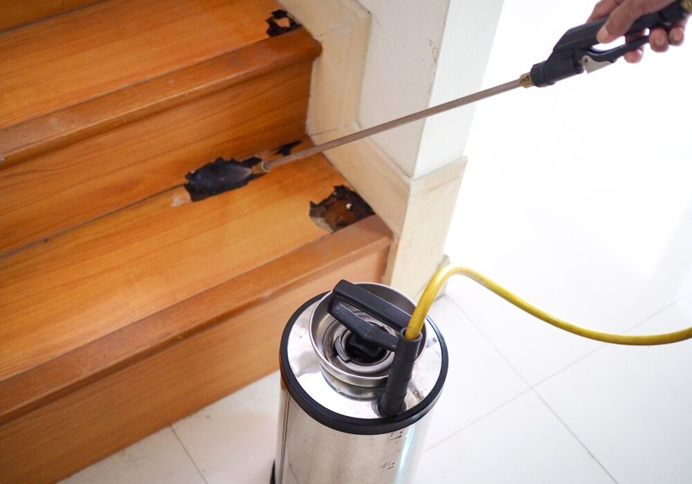 Pest control technician using equipment and liquid to dispose Termite infested wood inside house Pest control technician using equipment and liquid to dispose Termite infested wood inside house