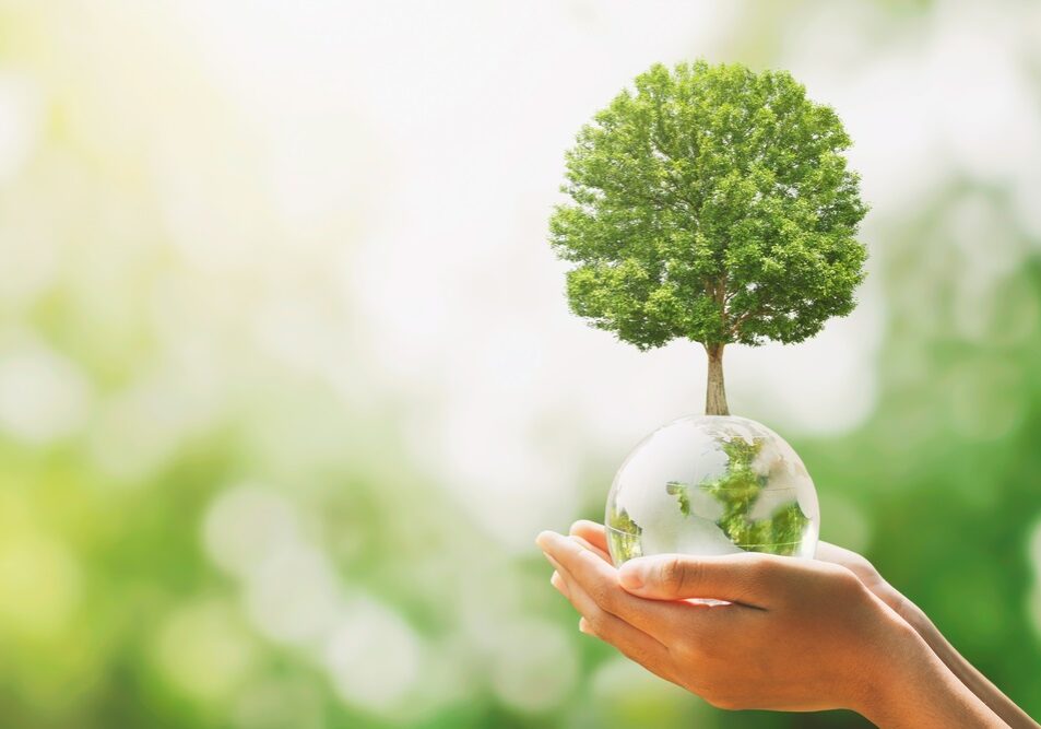 hand holding glass globe ball with tree growing hand holding glass globe ball with tree growing