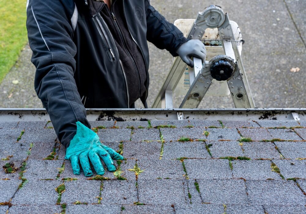 Man on top of ladder cleaning moss and dirt from a building roof Man on top of ladder cleaning moss and dirt from a building roof