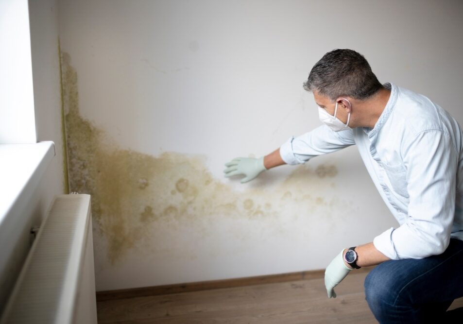 Man with mouth nose mask and blue shirt and gloves n front of white wall with mold Man with mouth nose mask and blue shirt and gloves n front of white wall with mold
